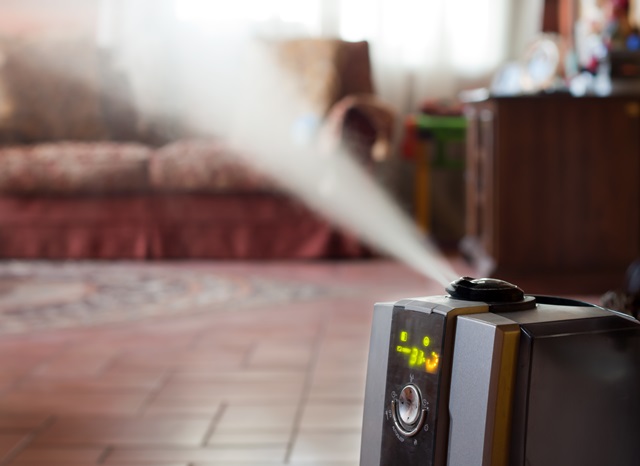 Why Humidifying Your Home in Winter is Important
