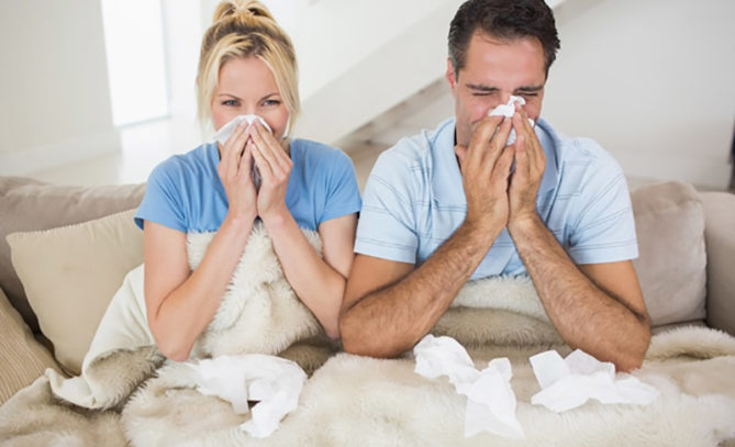 indoor air quality allergies resizedblog