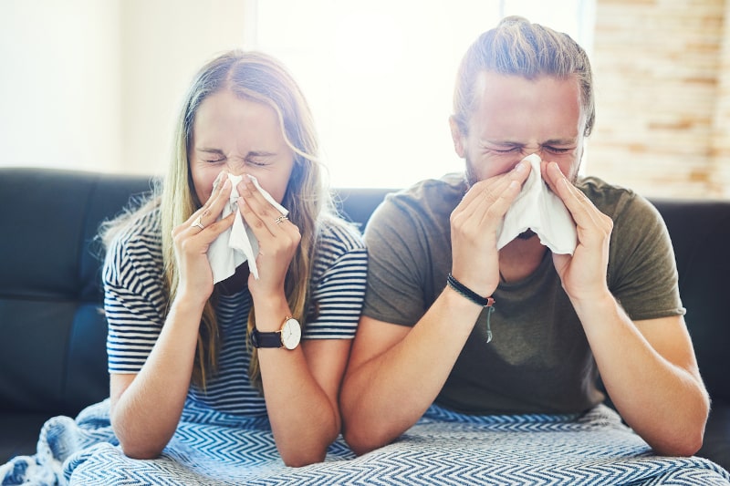 Indoor Air Pollutants